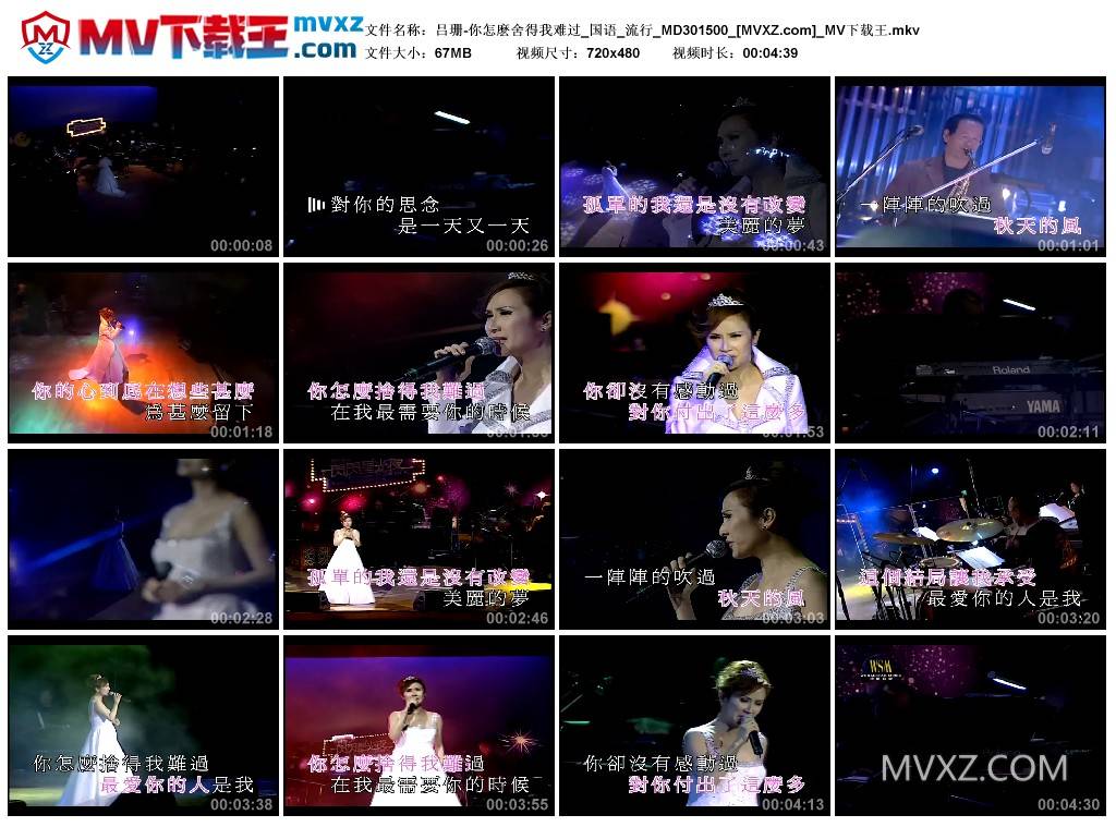 吕珊-你怎麽舍得我难过_国语_流行_MD301500